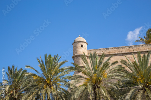 The Old Town Skyline in Palma Majorca