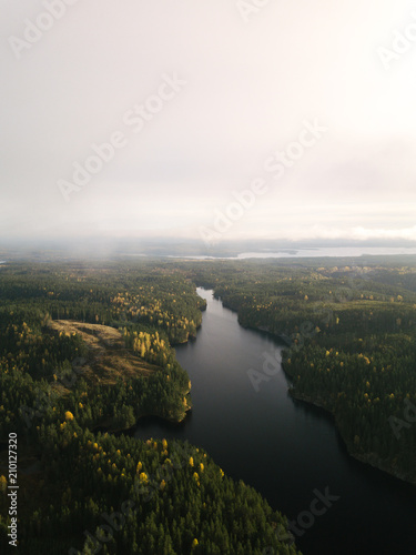 swedish morning