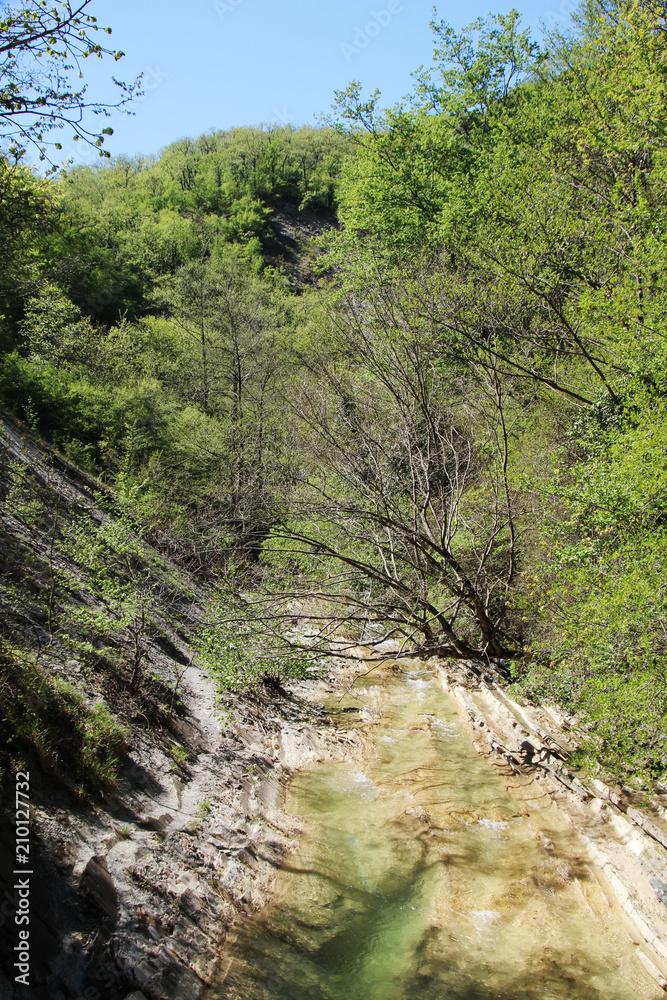 Naklejka premium A mountain river Janet, Gelendzhik, Russia