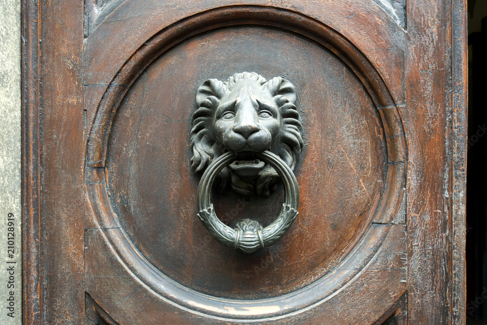 Old metal door handle in the form of a lion head. Door knocker closeup background. Florence, Italy