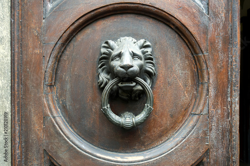 Old metal door handle in the form of a lion head. Door knocker closeup background. Florence, Italy