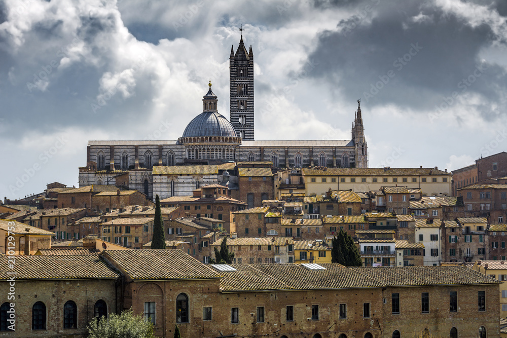 Siena cityscape with Dumo and Torre del Mangia at centre
