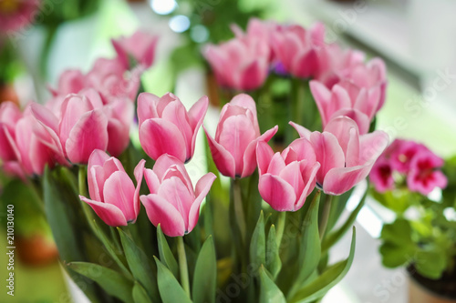 Bouquet of beautiful tulips, closeup