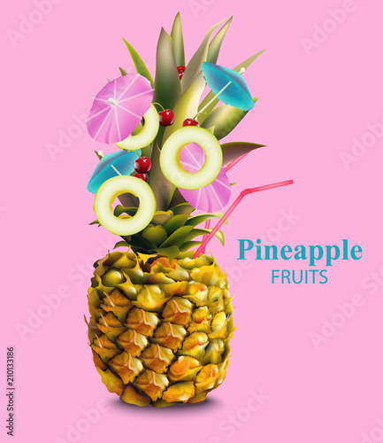 Pineapple fruit on pink background Vector
