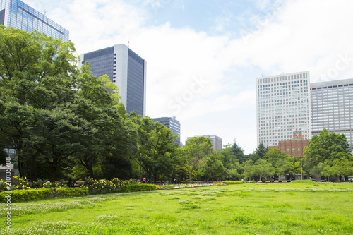 Photography Landscape in Hibiya park
