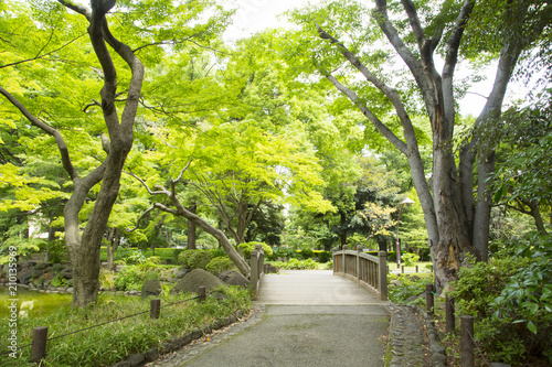 Landscape in Hibiya park