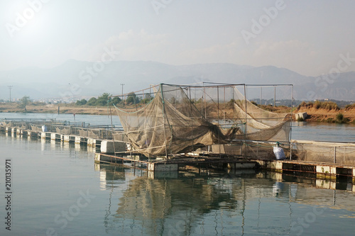 The farm for breeding fish.fish farming, agriculture photo