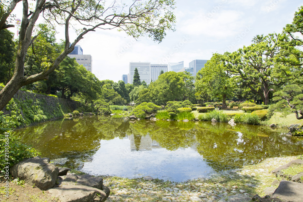 Sinjiike Pond in Hibiya park