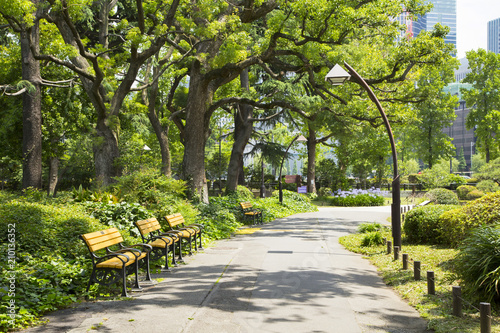 Fototapeta Naklejka Na Ścianę i Meble -  Landscape in Hibiya park