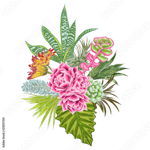 Elegant ikebana bouquet watercolor imitation of succulent, rose, cactus , air plant, Bromelia, aloe, vera, Houseplant  set. Wedding pastel flowers. All elements are made of real plants and editable.