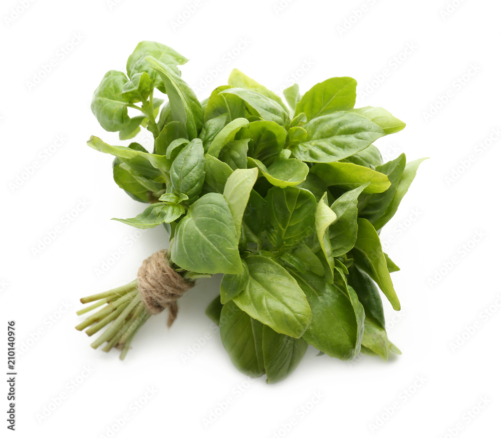 Bundle of fresh green basil on white background Bundle of fresh green basil on white background