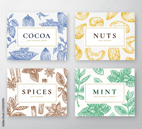 Hand Drawn Cocoa Beans, Mint, Nuts and Spices Cards Set. Abstract Vector Sketch Backgrounds Collection with Classy Retro Typography. Hand Drawn Cacao, Nuts, Mint Branches and Spices.