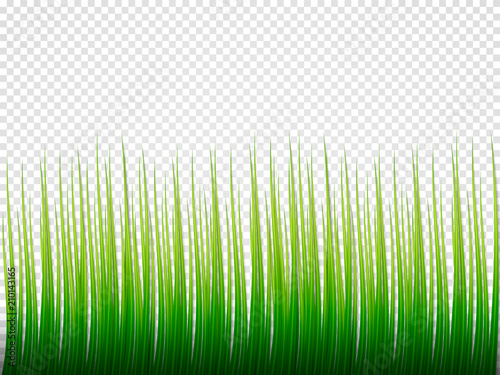 Grass Borders Set. On a transparent background. Vector Illustration