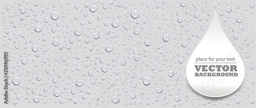 water drops on grey background and place for your text