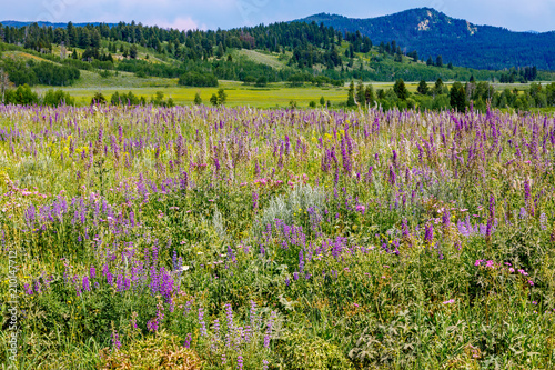 Grand Teton National Park