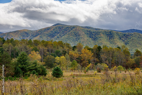 Cades Cove Tennessee