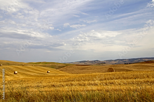 Campo di grano, Toscana photo