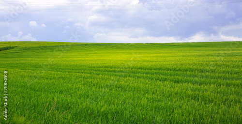 Green field and clougs.