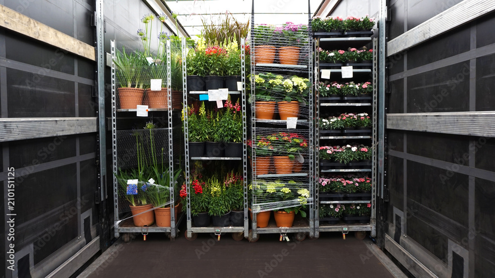 Open delivery truck loaded with pot plants pallets . There is a loading to the truck trailer