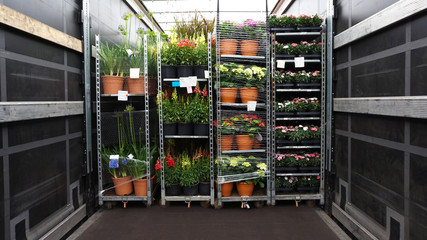 Open delivery truck loaded with pot plants pallets . There is a loading to the truck trailer  