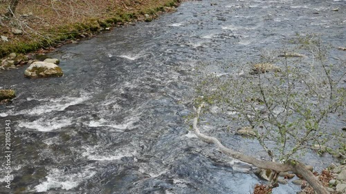 Mountain stream in Great Smoky Mountains