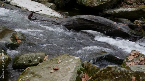 Mountain stream in Great Smoky Mountains