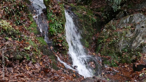 Waterfall in Great Smoky Mountains