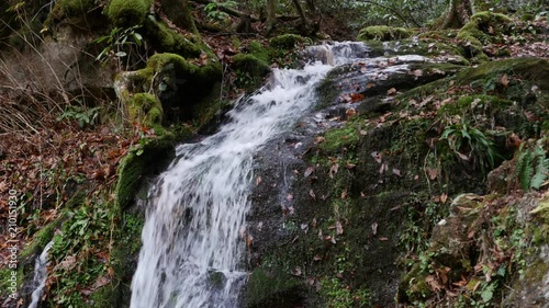 Waterfall in Great Smoky Mountains