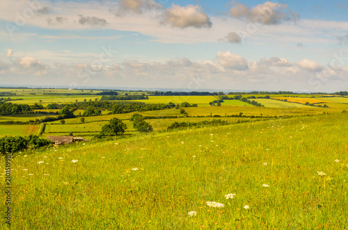 Fototapeta Naklejka Na Ścianę i Meble -  Wolds In Summer