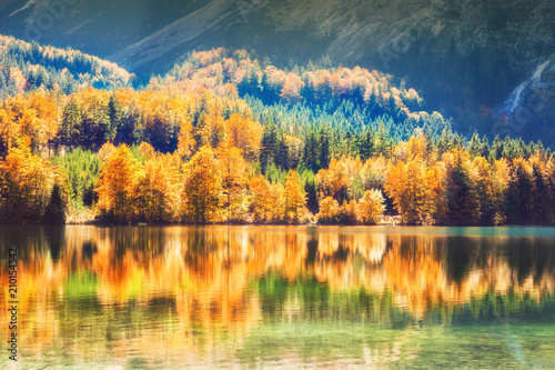 Colorful autumn trees and their reflections on the lake