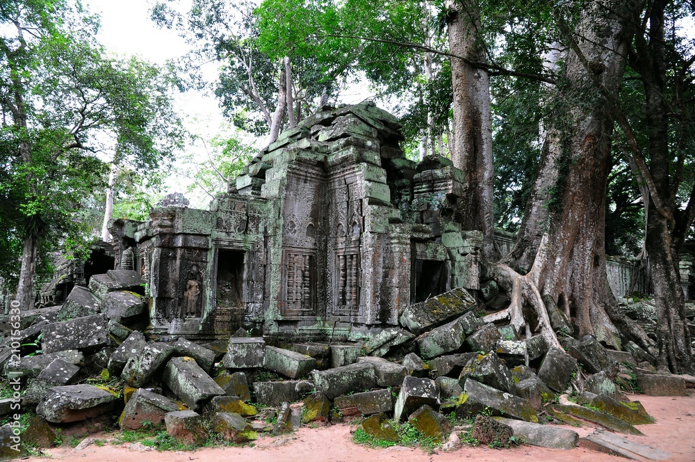 TaProhm Temple near Angkor Wat in Siem Reap, Cambodia TaProhm Temple near Angkor Wat in Siem Reap, Cambodia