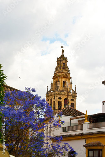 Photography Cathedral of Cordoba