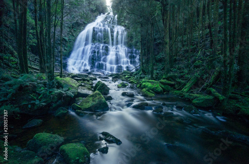 Nelson Falls  Tasmania