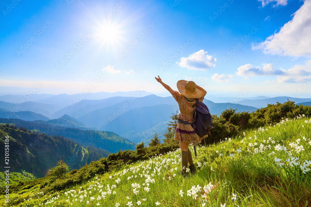 The lawn with white daffodils in the high mountains landscapes. The girl in overknees stockings, romantic dress, back sack and straw hat. The lawn with white daffodils in the high mountains landscapes. The girl in overknees stockings, romantic dress, back sack and straw hat.