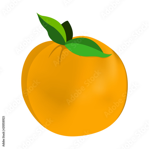 Orange Icon. Food with Healthy Fats and Oils. Cartoon Vector Illustration