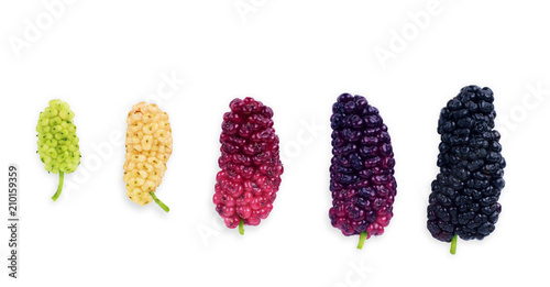 Mulberry berry with leaf isolated on white background photo