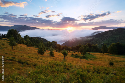 Mountain landscape. Sunrise in the clouds. Dense fog with nice soft light. On the lawn the grass and trees.