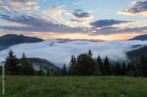 Mountain landscape. Sunrise in the clouds. Dense fog with nice soft light. On the lawn the grass and flowers in dew.