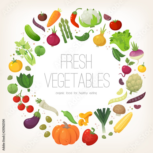 Fresh colorful vegetables arranged in circle. Vector illustration. 