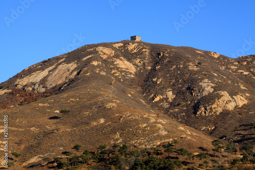 mountains and green plant