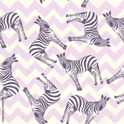 Zebra pattern  illustration  animal.