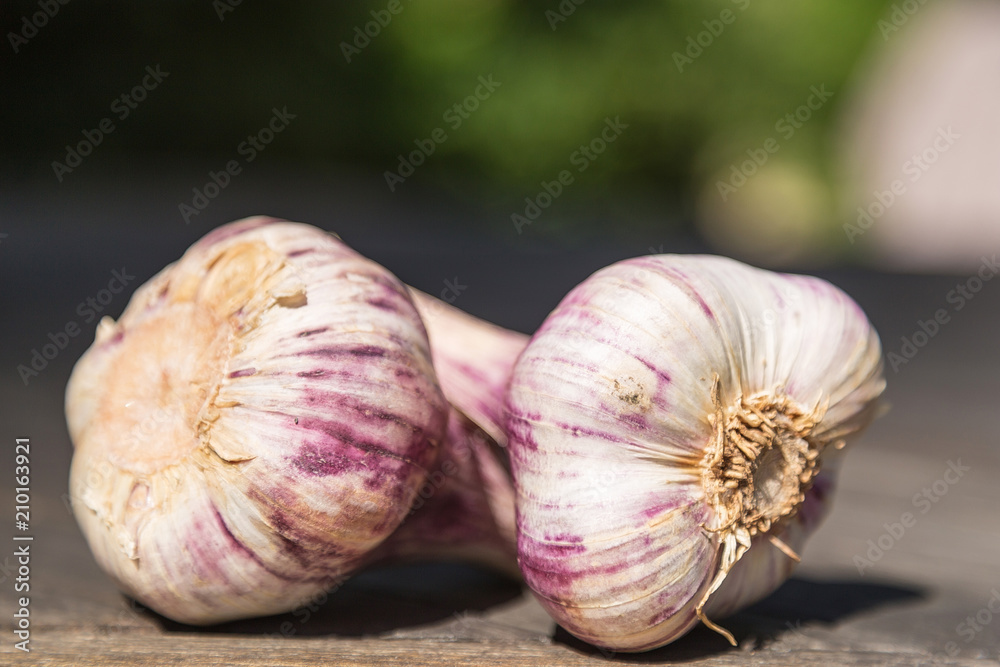 Obraz premium französischer knoblauch