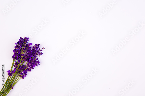 Flat lay lavender on the white background