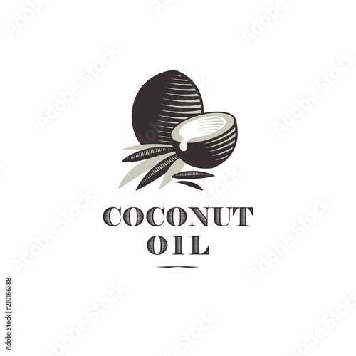Coconut oil logo. Ripe coco and half coconut and leaves with letters. Engraving style. 