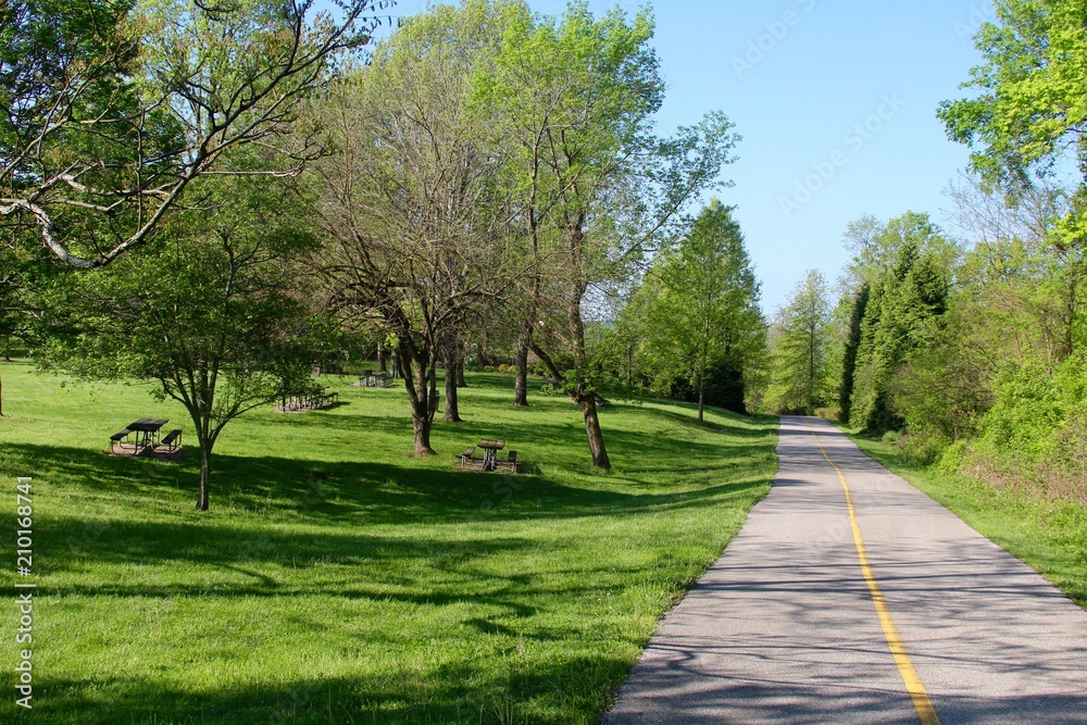 The walkway in the picnic area of the park.