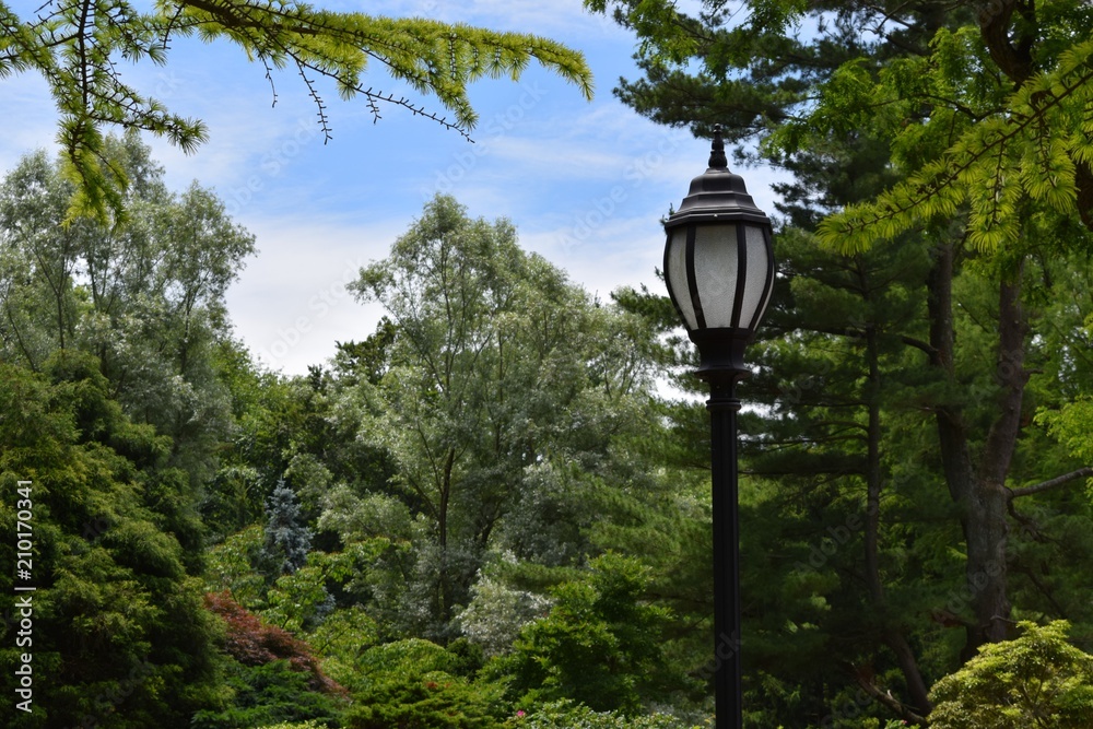 Lamp post in the park
