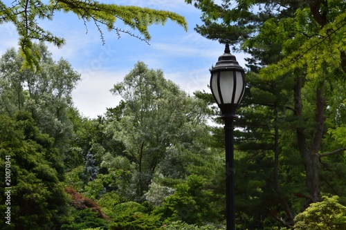 Lamp post in the park