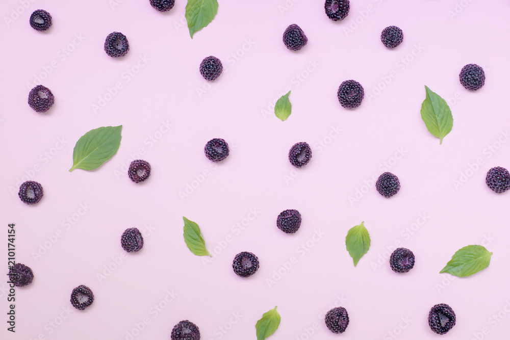.Black summer berry on a pink tinted background. .Black summer berry on a pink tinted background.