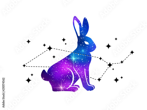 Rabbit and constellation of Cetus