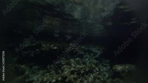 Wallpaper Mural Skrzydlica Torontodigital.ca